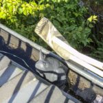Verstopfte Dachrinne bei Dachrinnenreinigung in München (1)